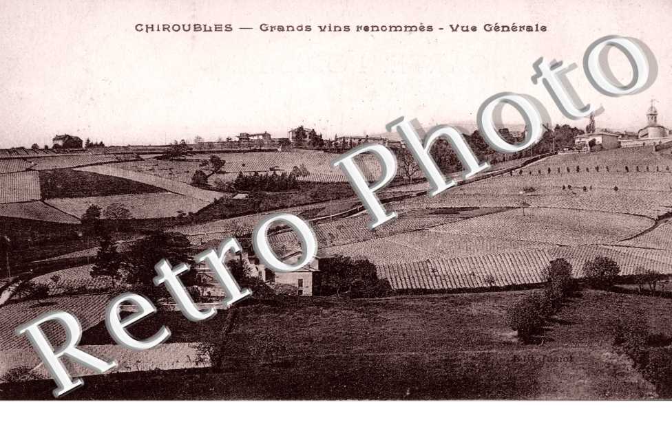grands vins renommes, vue generale