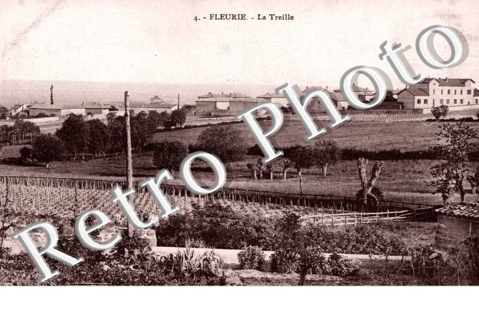 la treille