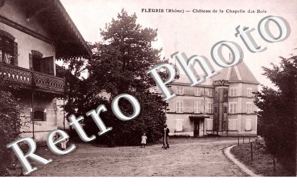 Chateau de la Chapelle des Bois