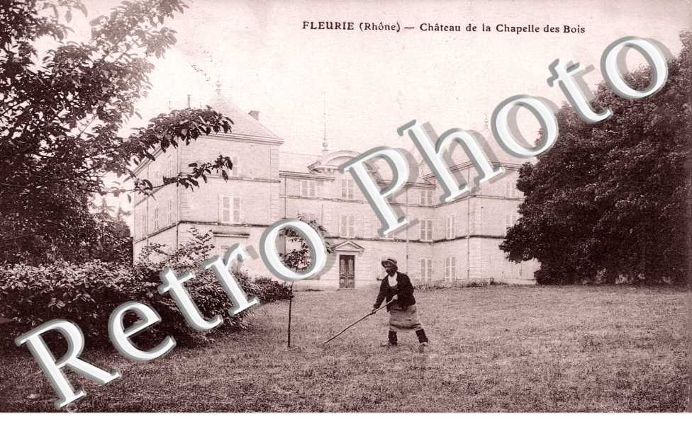 Chateau de la Chapelle des Bois