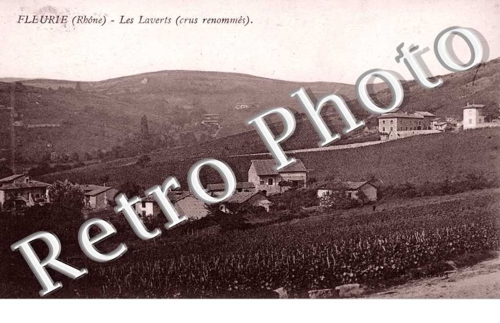 les laverts crus renommes
