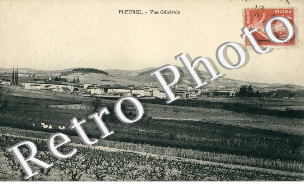Vue generale