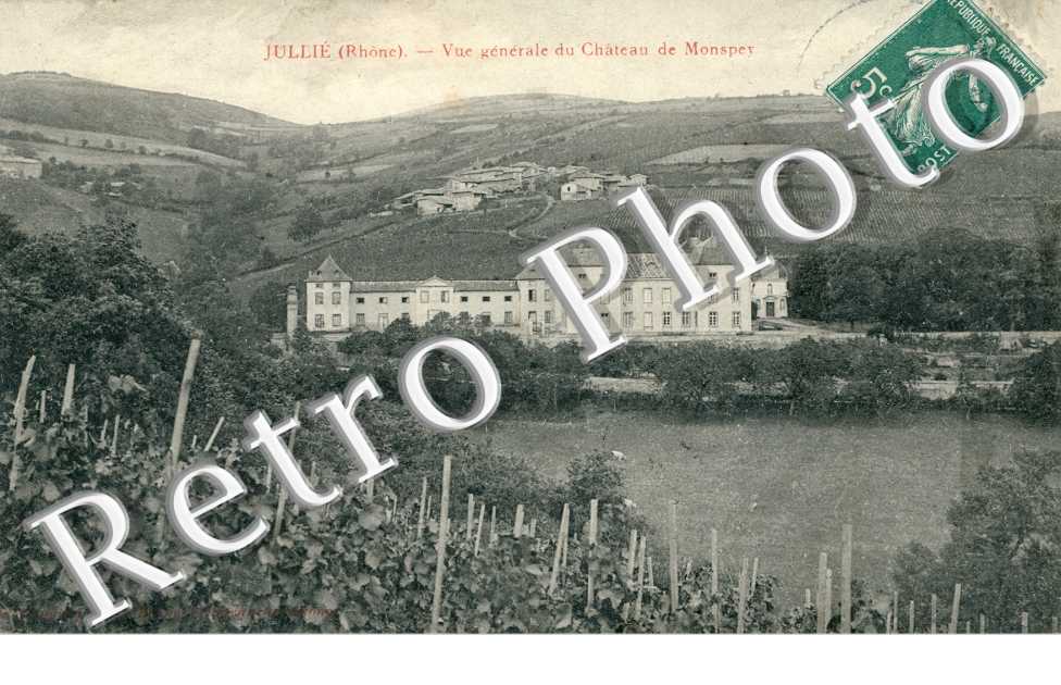 Vue generale du Chateau de Monspey