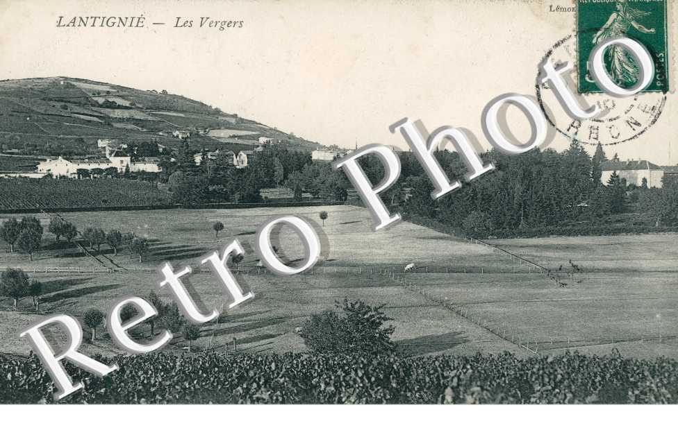 les vergers