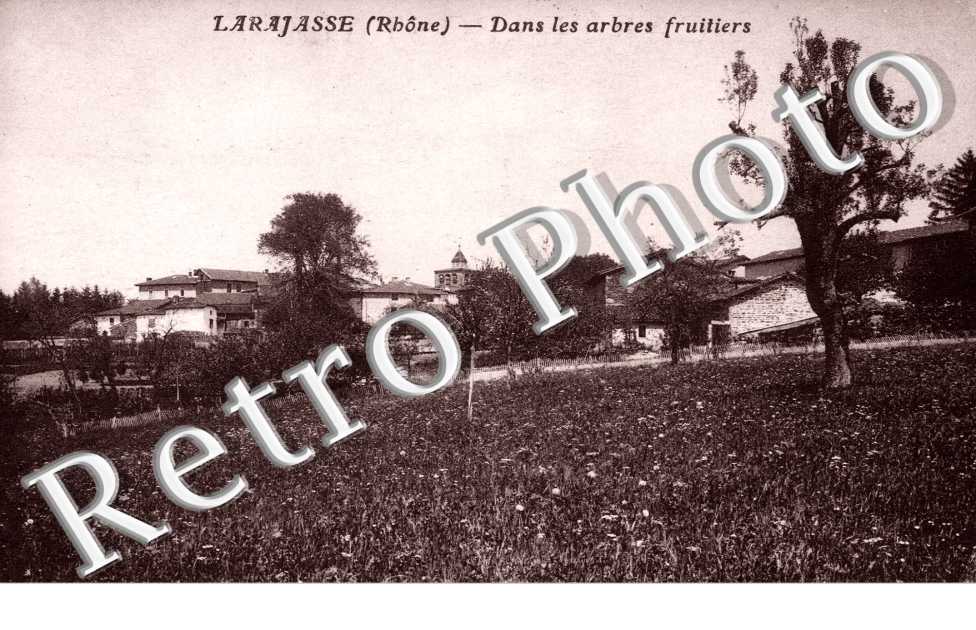 Dans les arbres fruitiers