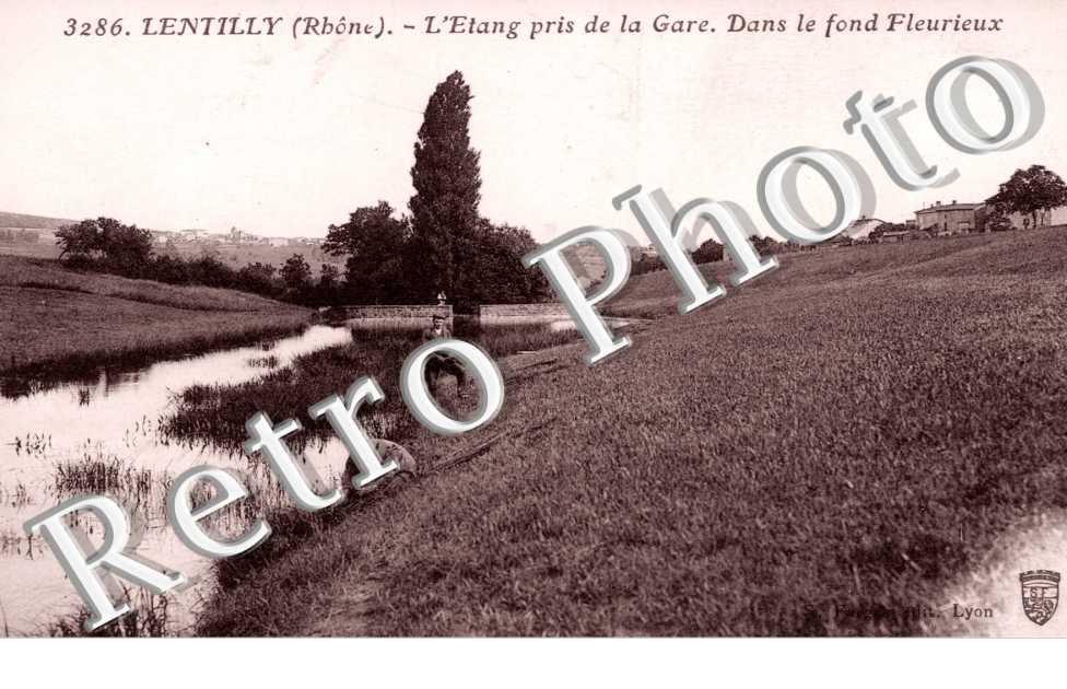 l'Etang pris de la Gare, Fleurieux