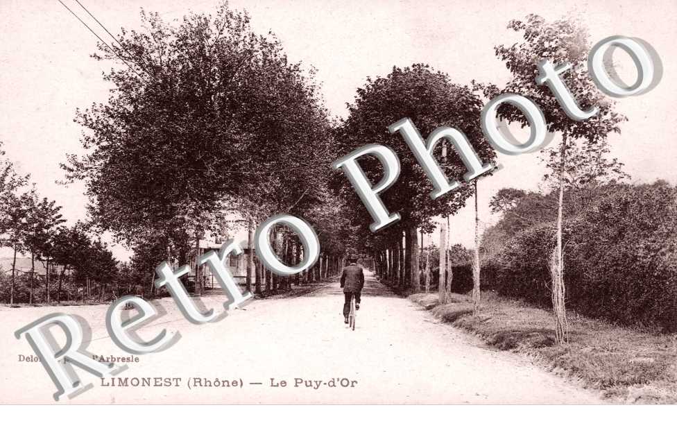 Le Puy-d'or