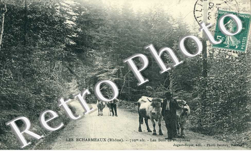 Les Echarmeaux Les bois de Propieres