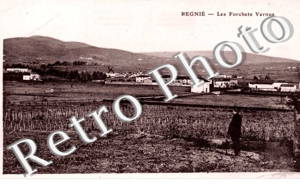 les forchets vernus