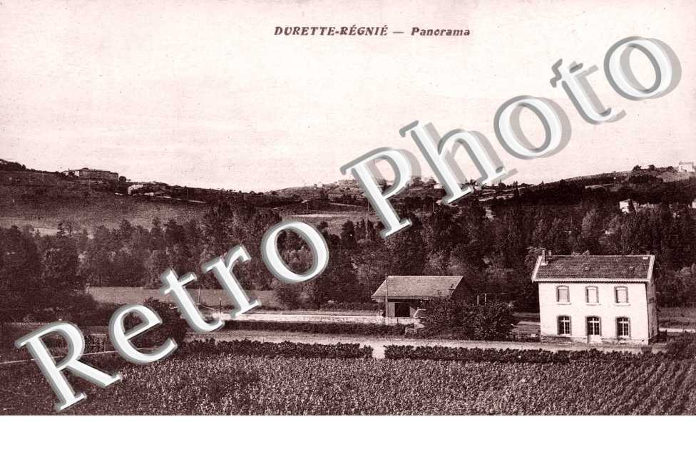 Panorama