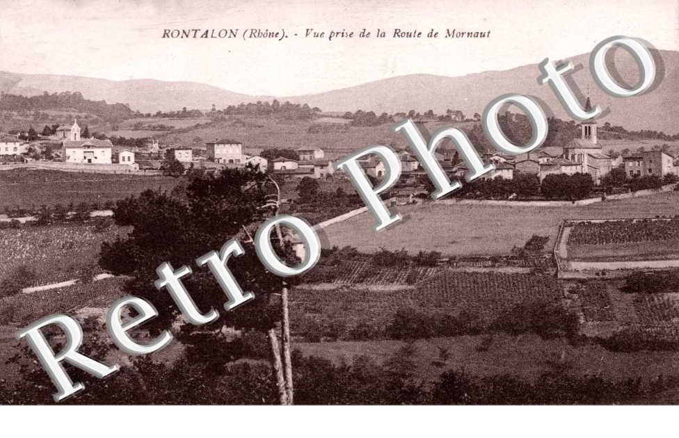 Vue prise de la Route de Mornaut