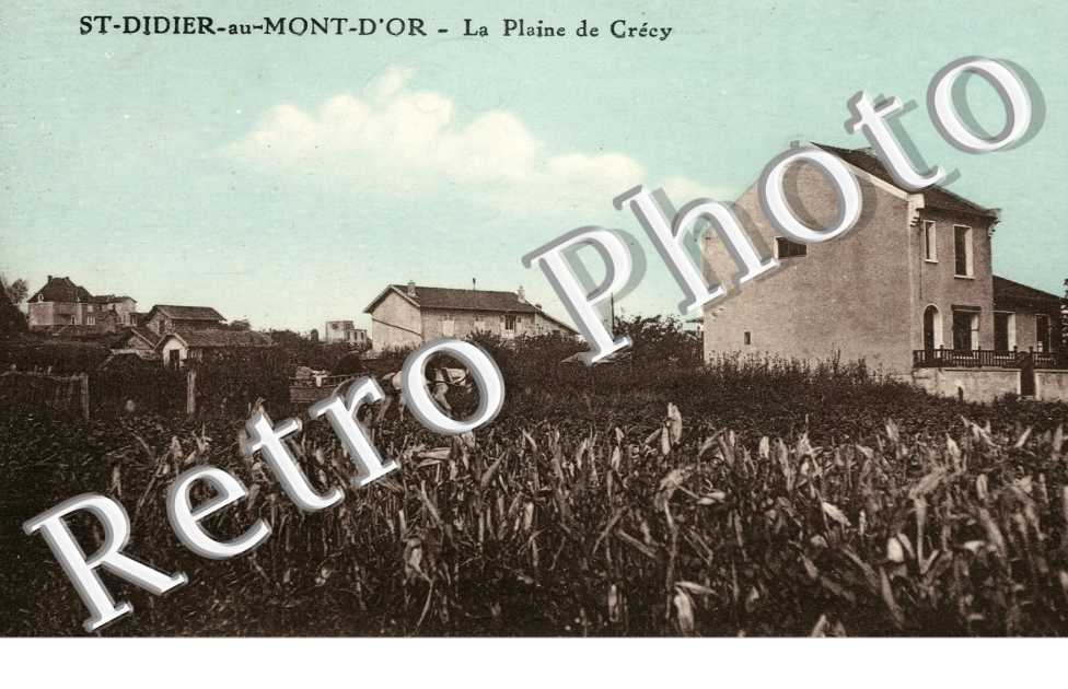 la Plaine de Crecy