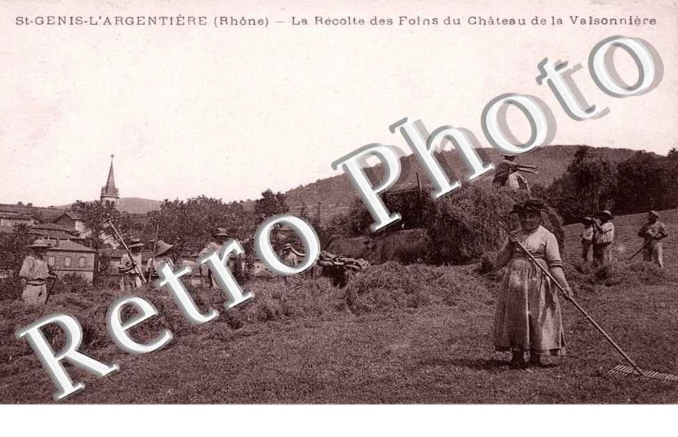 La recolte des foins du chateau de la Valsonniere