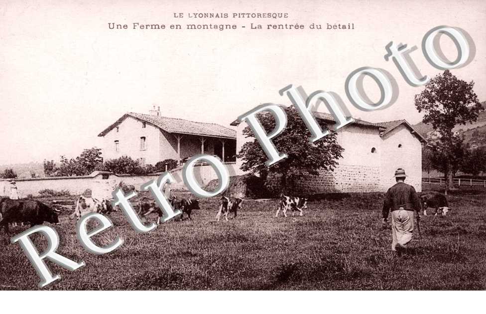 Une Ferme en montagne, la Rentree du Betail
