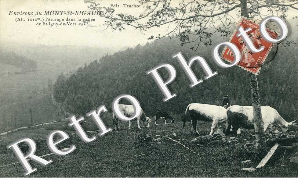 Paturage