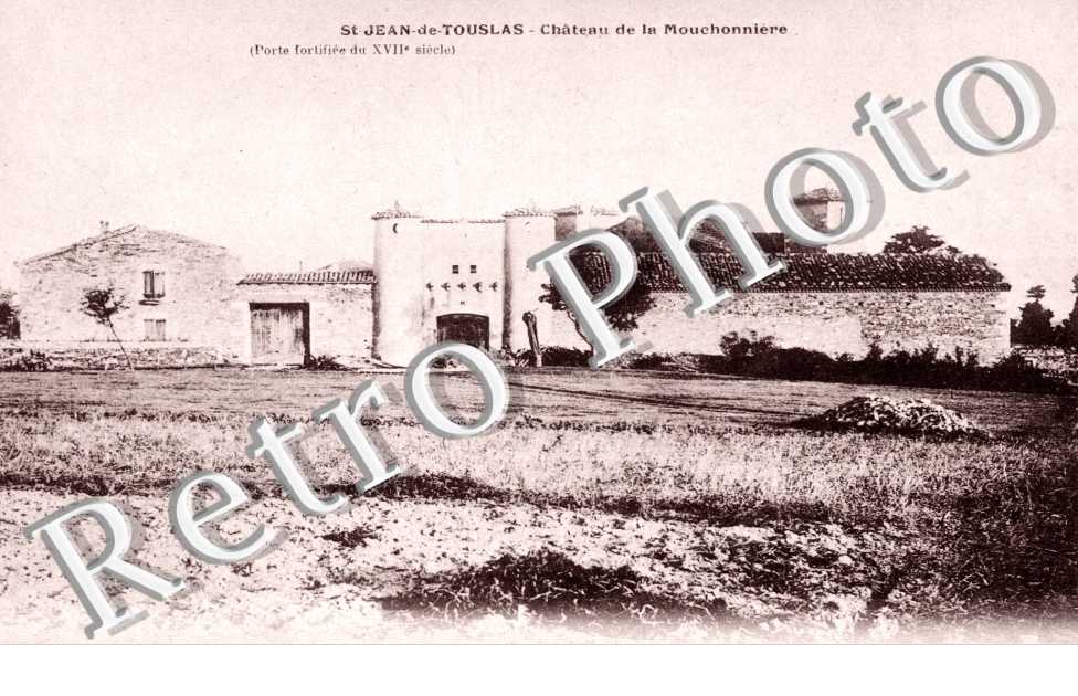 le Chateau de la Mouchonniere