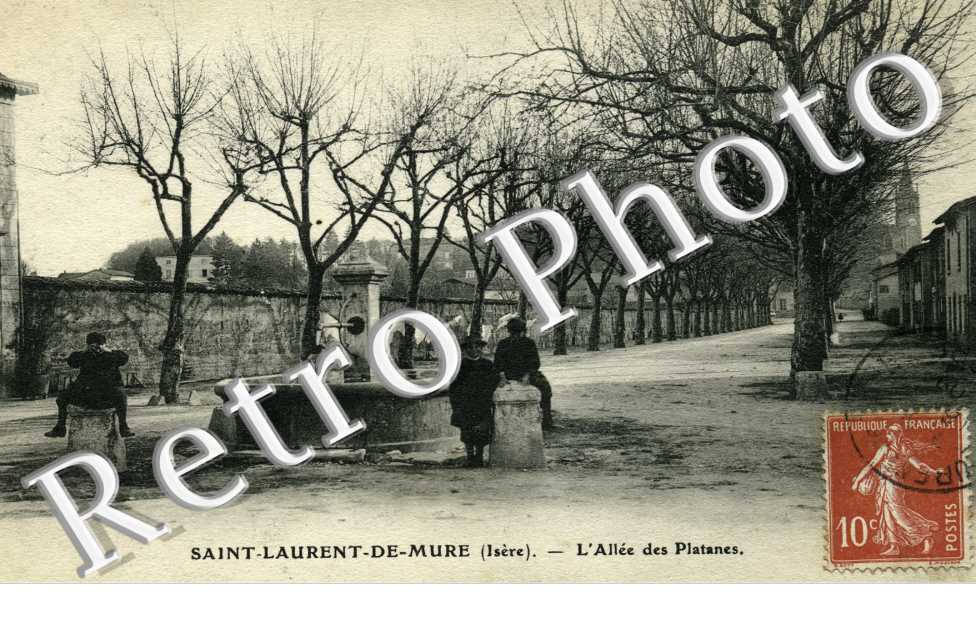 l'allee des platanes