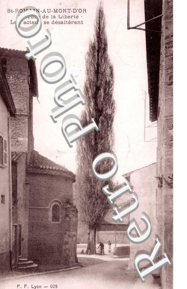 l'Arbre de la Liberte, le Facteur se desalterant