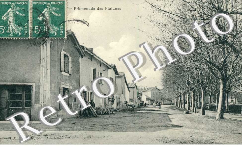 Promenade des Platanes