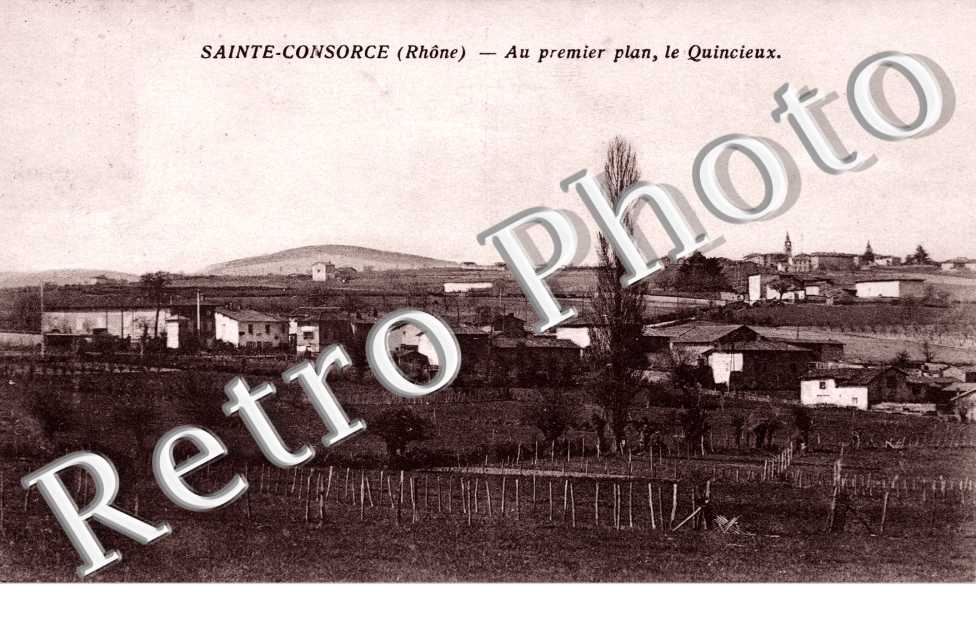 le Quincieux