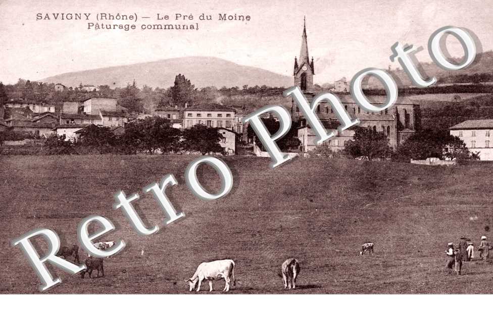 Le pre du Moine - paturage communal