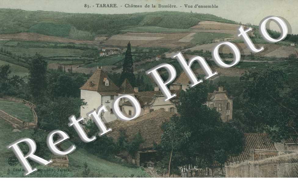 Chateau de la Bussiere - Vue d'ensemble (couleur)