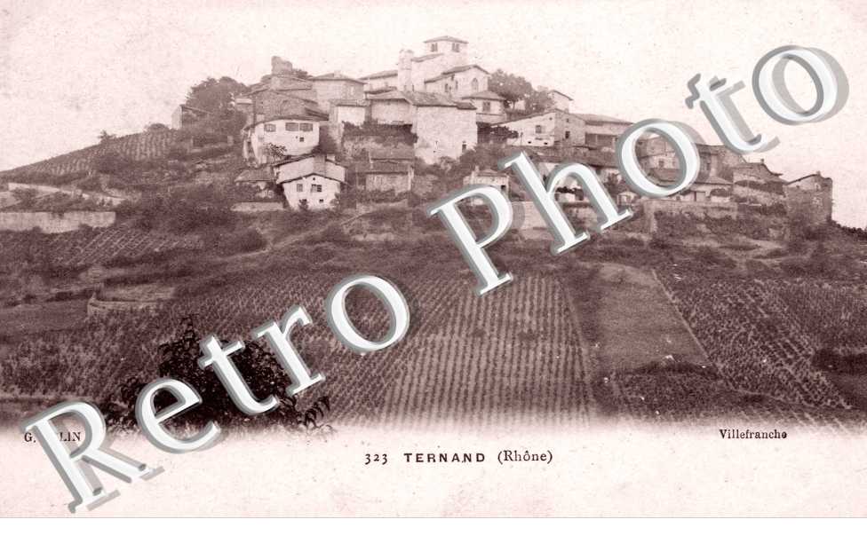 Vue d'Ensemble
