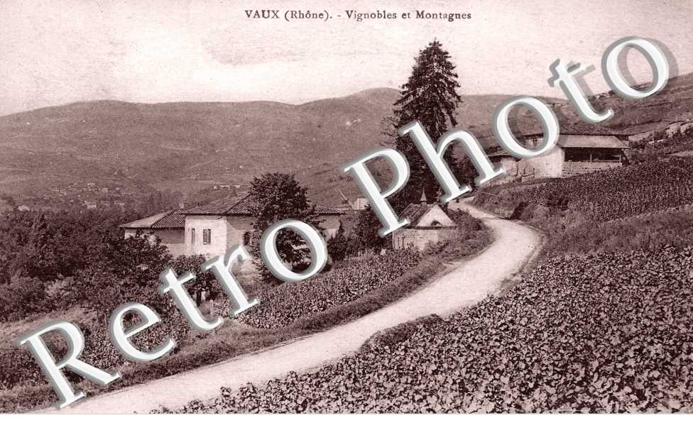 Vignobles et Montagnes