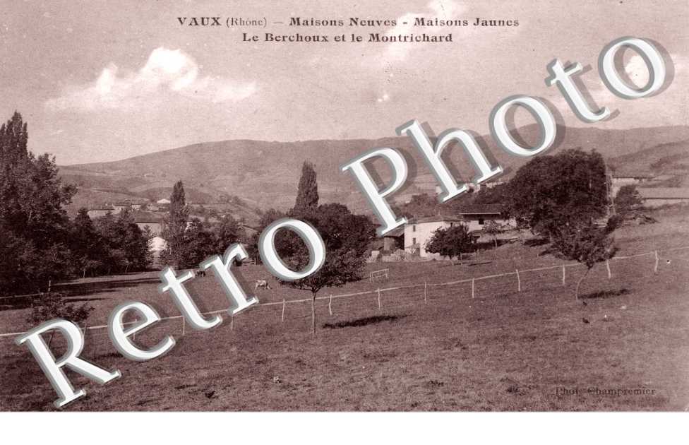 Maisons Neuves, Maisons Jaunes, le Berchoux et le Montrichard