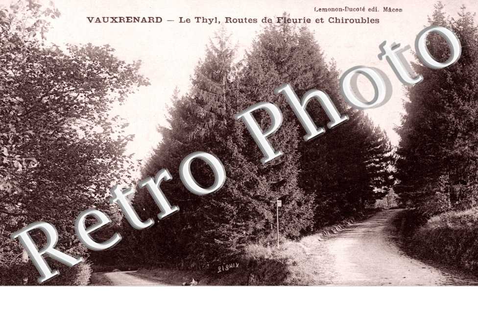 le Thyl - Routes de Fleuris et Chiroubles