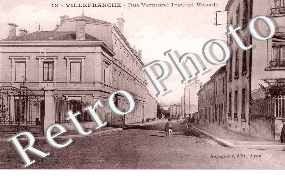 Rue Vermorel Institut Viticole