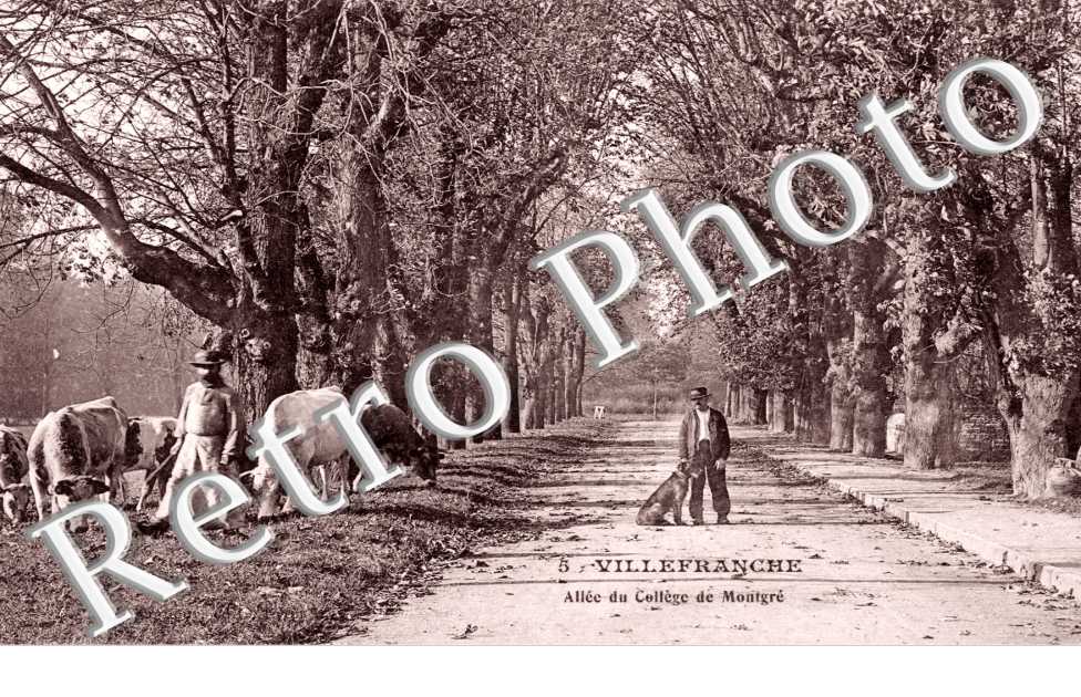 Allee du College de Montgre