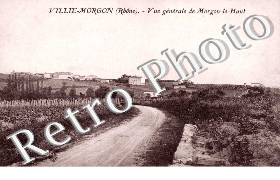 Vue Generale de Morgon-le-Haut