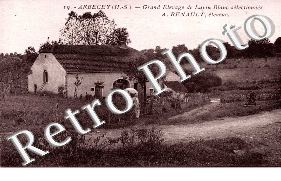 grand elevage de lapin blanc A. Renault, eleveur