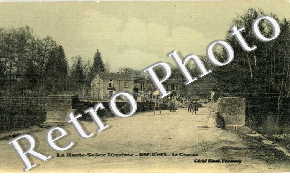 Le coucou (carte toilee)