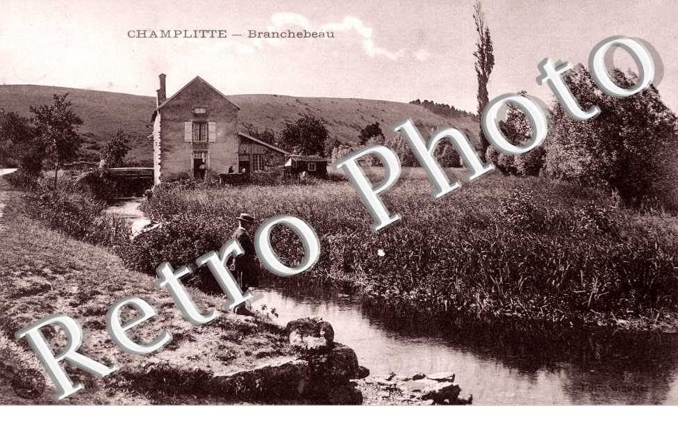 Branchebeau