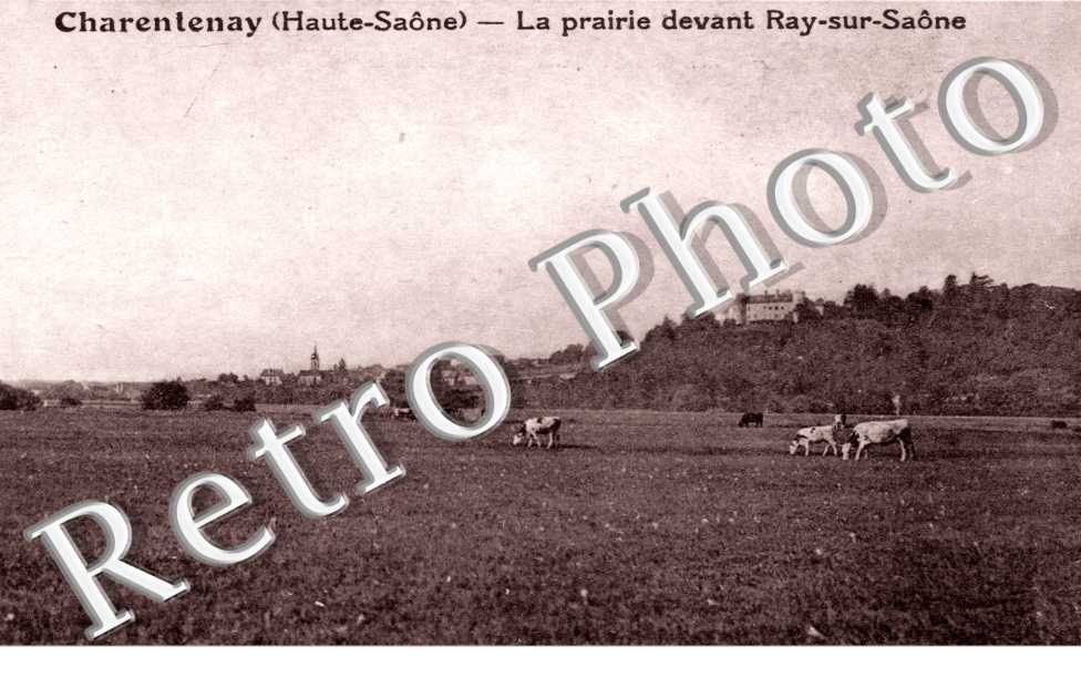 la prairie devant Ray-sur-Saone