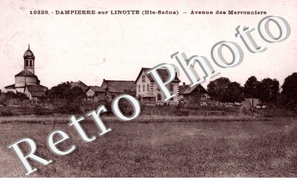 avenue des marronniers