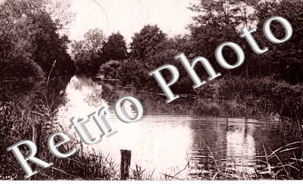 Bords de la Saone