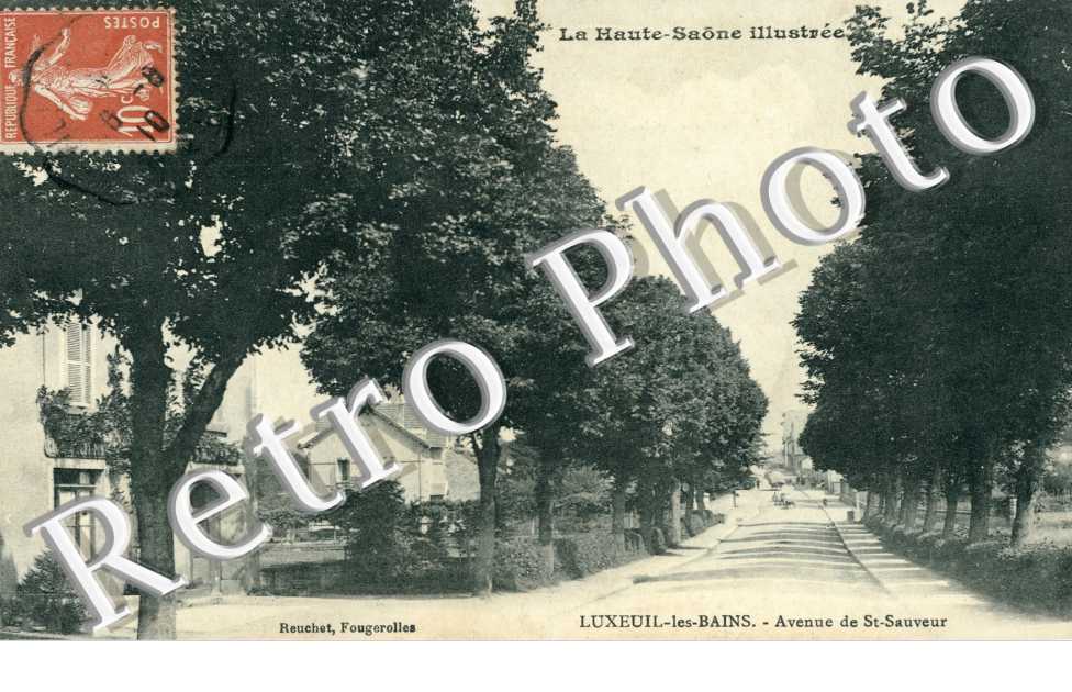 Avenue de Saint-Sauveur