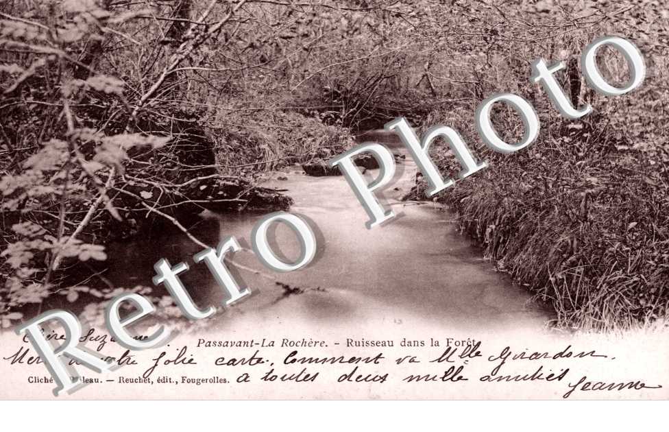 Ruisseau dans la foret