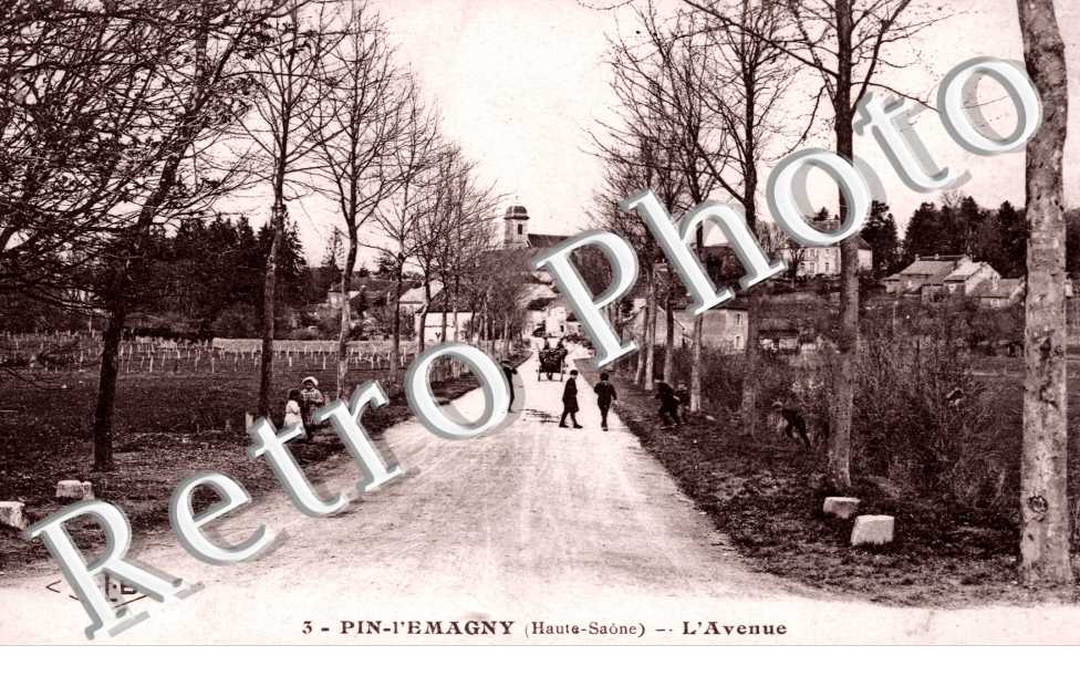 Avenue