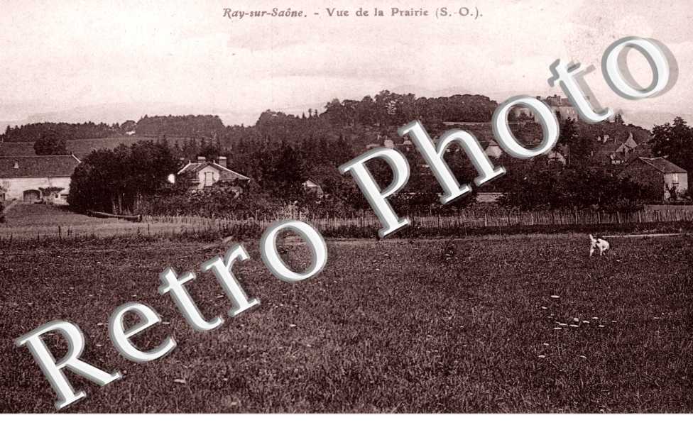 vue de la prairie