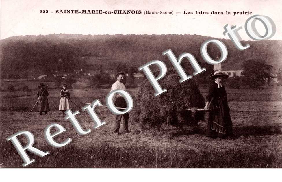 Les Foins dans la Prairie