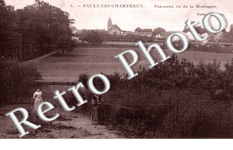 Saux-les-Chartreux, Panorama vu de la Montagne