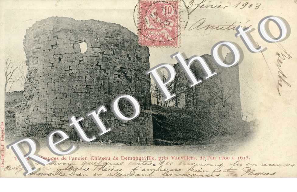 Tours et vestiges de l'ancien chateau de Demongeville