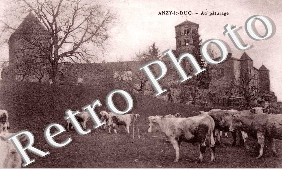 Au paturage