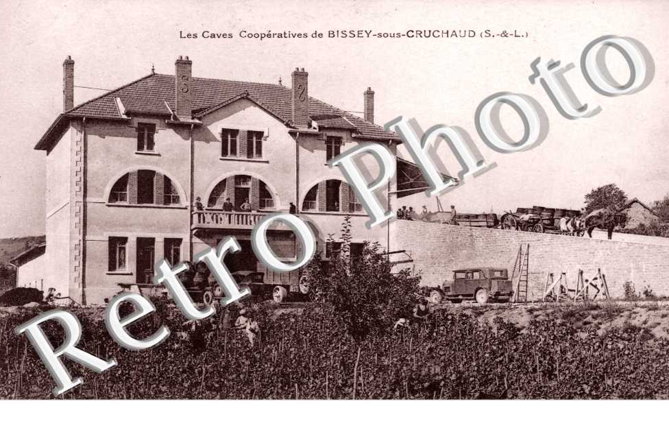 Les caves cooperatives