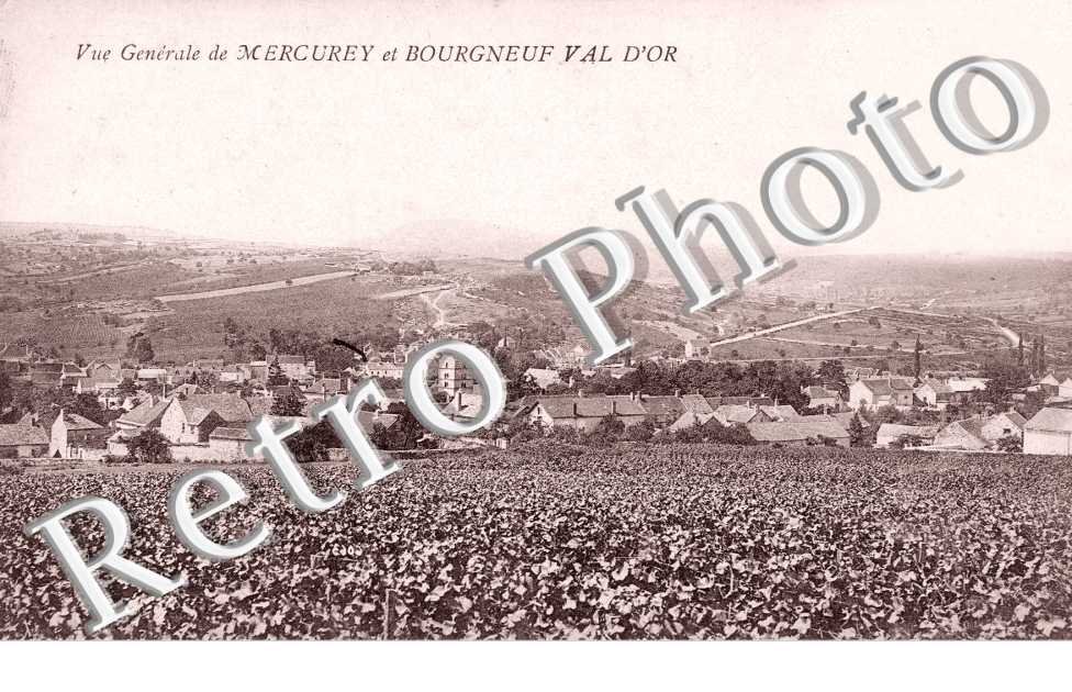 Vue Generale de Mercurey et Bourgneuf-Val-d'Or