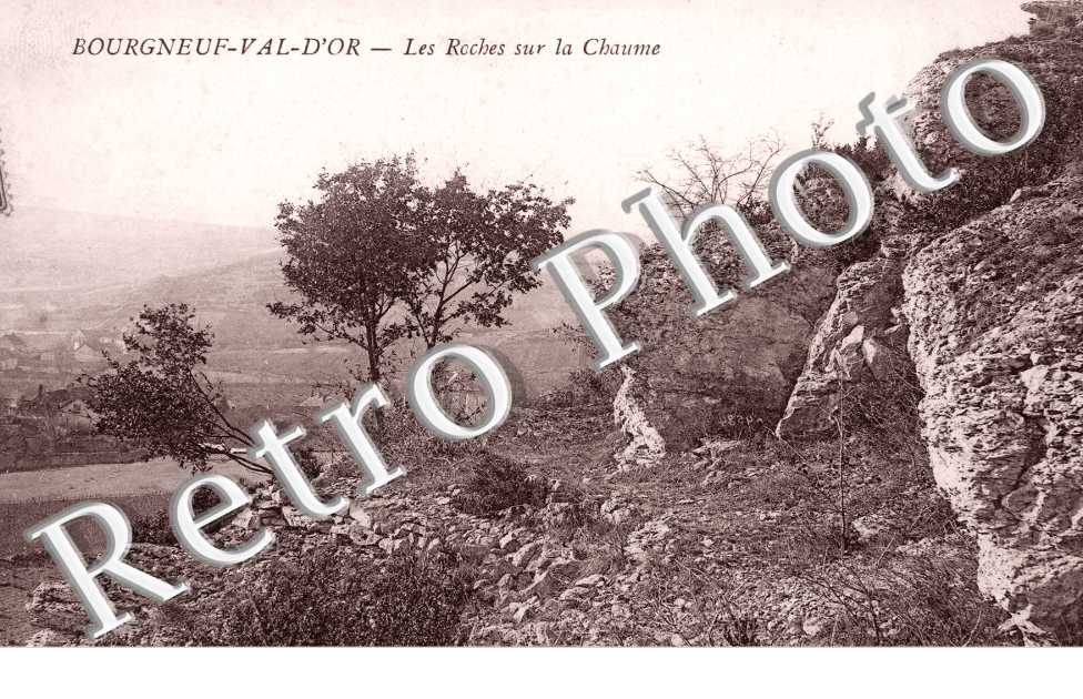 Bourgneuf Val d'Or - Les Roches sur la Chaume